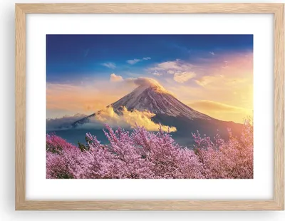 Produktbild von Gerahmtes Poster - Rahmen in heller Eiche - Fuji Blume Kirsche - 40x30 cm - Wand Bild - Wanddeko - Wandbilder - Kunstposter - Wandposter - Bilderrahmen - Bilder - Kunstdruck - P2NAA40x30-4490