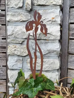 Produktbild von Edelrost Topfstecker Iris