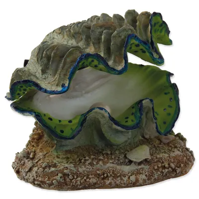 Obrázek produktu pro Dekorace Aqua Excellent Škeble vzduchovací 12x10x5,5cm