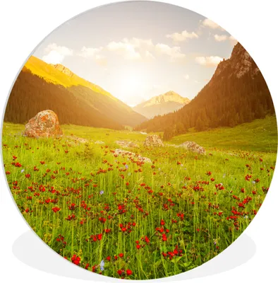 Produktbild von MuchoWow® Rundes Wandbild - Runde Bilder Blumen - Berg - Sonne Ø 30 cm Kreis Wanddekoration Kunststoff - Wandkreis - Wandschmuck - Schlafzimmer - Bilder - Der Kreis - Kunst für die Wohnung - Plastik - Kunstdruck - Wandbild