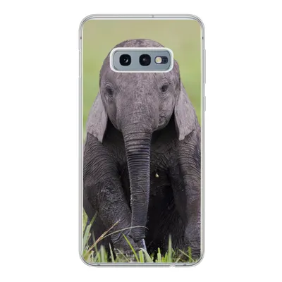 Produktbild von MuchoWow® Handyhülle Schutzhülle Hülle für Samsung Galaxy S10e Elefant - Baby - Tiere - Gras - Natur Silikon Softcase Handy Hülle - Handy