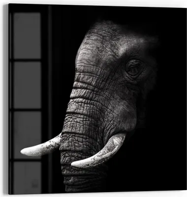 Produktbild von DEQORI Glasbild Echtglas 30x30 cm 'Weisheit der Wildnis' Wandbild Bild modern Deko