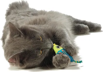 Produktbild von Petstages Catnip Chew Mice Zahnpflege-Spielzeug 2er-Pack