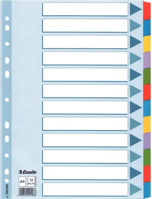 Produktbild von Esselte 100169 Tab-Register Leerer Registerindex Mehrfarbig