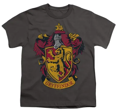 Image de T-shirt enfant "Gryffondor", en coton ringardé, modèle TV36390 (taille 116), couleur anthracite