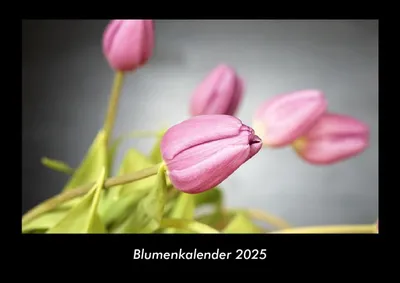 Produktbild von Blumenkalender 2025 Fotokalender DIN A3