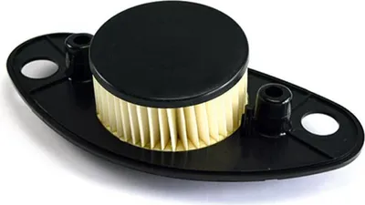 Productafbeelding van Luchtfilter voor Suzuki VL 800 Volusia, modeljaren '01-'04 (OEM: 13780-41F00-000)