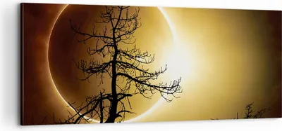 Produktbild von Bild auf Leinwand - Leinwandbild - Einteilig - Sonnenfinsternis die Sonne Baum - 100x40cm - Wand Bild - Wanddeko - Wandbilder - Leinwanddruck - Bilder - Wanddekoration - Leinwand bilder AB100x40-4349
