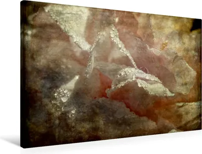 Produktbild von Calvendo Textil-Leinwand 90 cm x 60 cm quer Romantische Rose - Shabby Chic Style, Cross Martina; 7295970