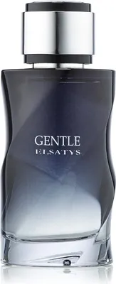 Zdjęcie produktu dla Reyane Tradition Gentle Elsatys 100ml edp