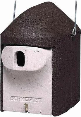Image de Schwegler Nichoir "2 GR", ovale