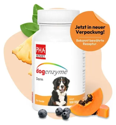 Image de PHA dogenzyme intestinale pour chiens 100 pc