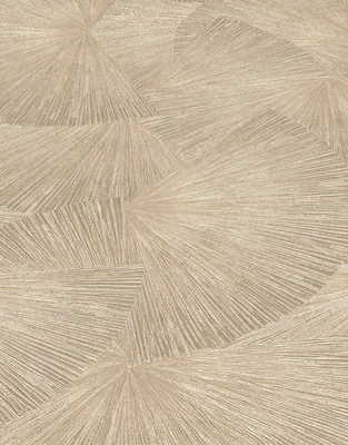 A close-up, repeating pattern of geometric shapes with a textured, radiating line design.