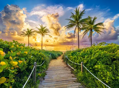 Obrázek produktu pro CASTORLAND Puzzle 3000 dílků Barevný východ slunce v Miami, USA - Východ slunce v Miami