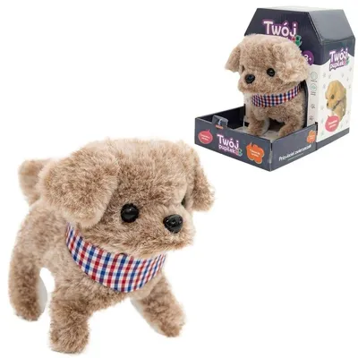 Image de Ton petit chien - Askato