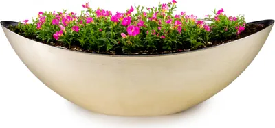 Produktbild von Große Pflanzschale oval 55 cm für draussen Dekoschale champagner