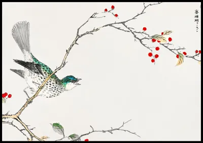 Produktbild von Plakat 100x70cm Braunkopf-Bulbul, Kashu Vintage für das Wohnzimmer