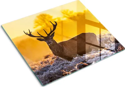 Obrázek produktu pro Kryt varné desky – Kryt na indukční desku – Ochranná skleněná deska – 60x52 cm – Skleněné ochranné desky na sporák –Tvrzené sklo –Východ slunce nad jelenem