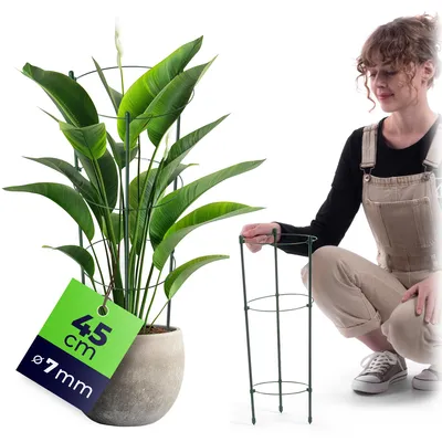 Productafbeelding van KADAX plantensteun van metaal, 45 cm