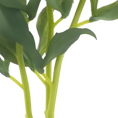Produktbild von Warentuin Producten