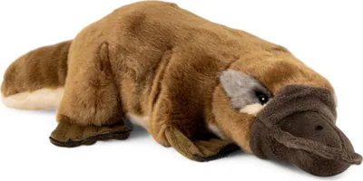 Immagine prodotto di Ornitorinco Carl Dick circa 30 cm.  Peluche, peluche, peluche 3698