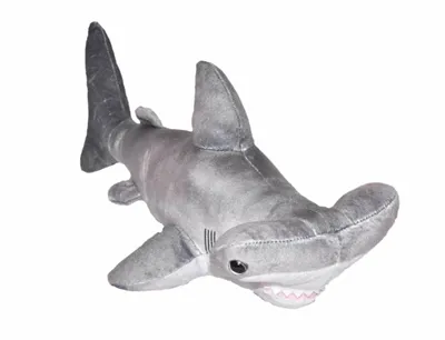 A plush toy hammerhead shark on a white background.