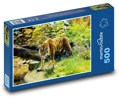 Obrázok produktu pre Puzzle 500 Tiger v divokej prírode - martinpuzzle