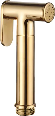 Produktbild von Bidet-Duschkopfgriff, goldfarben