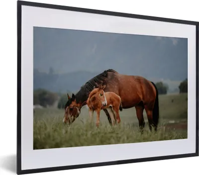 Produktbild von MuchoWow® MuchoWow® Gerahmtes Poster Pferde - Fohlen - Natur 40x30 cm - Poster mit zchwarzem Bilderrahmen - Bilderrahmen - Poster im Rahmen