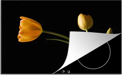Produktbild von KitchenYeah© Herdabdeckplatte Gelbe Tulpen auf schwarzem Hintergrund , 81x52cm, Küche Deko, Glaskeramikkochfeld Herdabdeckung, Abdeckplatte fùr Kochfeld