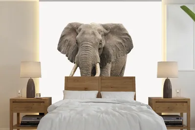 Produktbild von MuchoWow® Fototapete für Wohnzimmer oder Schlafzimmer Wandtapete Vinyl Motivtapete Elefant - Kinder - Tiere - Mädchen - 220x220 cm - Kindertapete - Tapeten