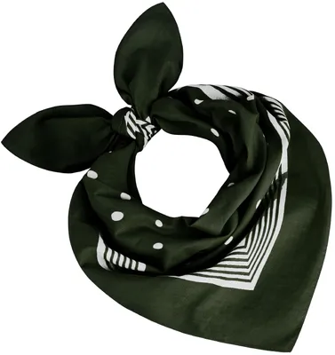 Produktbild von Tobeni Bandana Baumwolle Nickituch gepunktet 55x55 cm Halstuch Kopftuch Tücher, Farbe:Grün, Grösse:55 cm x 55 cm