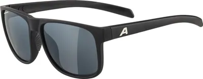 Produktbild von Sonnenbrille Alpina Nacan III Black Matt