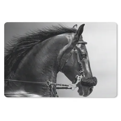 Produktbild von MuchoWow® Mauspad Mousepad Pferde - Schwarz - Porträt - Tiere 27x18 cm - Mousepads - Maus Mat - Pad - Mausunterlage - Büroartikel - Desk Matten
