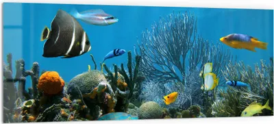 Produktbild von DEQORI Küchenrückwand Glas 125x50 cm 'Regenwald der Meere' Spritzschutz Bad Rückwand
