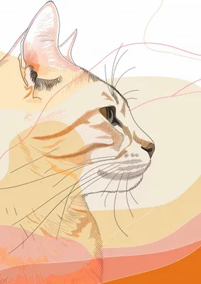 Produktbild von Plakat 64x90cm Zartes Katzenprofil