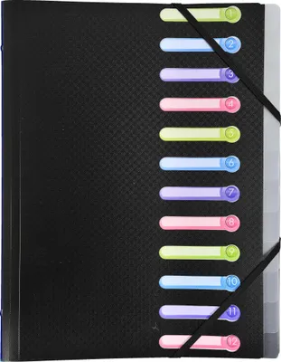 Produktbild von Exacompta 10x Ordnungsmappe OPAK PP + 3 Klappen, 12 Fächern, sortiert, 55180E
