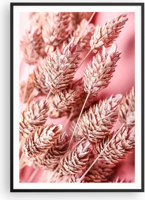 Produktbild von Gerahmtes Poster - Schwarzer Rahmen - Klinge Gras getrocknet - 70x100 cm - Wand Bild - Wanddeko - Wandbilder - Kunstposter - Wandposter - Bilderrahmen - Bilder - Kunstdruck - P2BPA70x100-5120