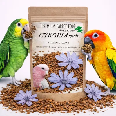 Zdjęcie produktu dla Premium Parrot Food - Ekologiczna Cykoria ziele -dla wszystkich papug 50g