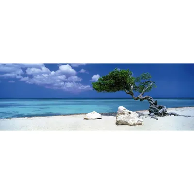 Produktbild von Divi Divi Tree. 1000 Teile