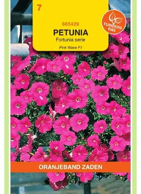 Zdjęcie produktu dla Oranjeband Petunia F1 Wonderwave Pink - 1 opakowanie nasion