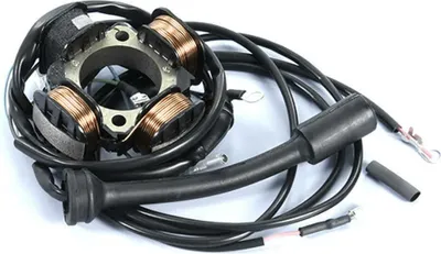 Immagine prodotto di Statore accensione POLINI racing 3 fili per Vespa
