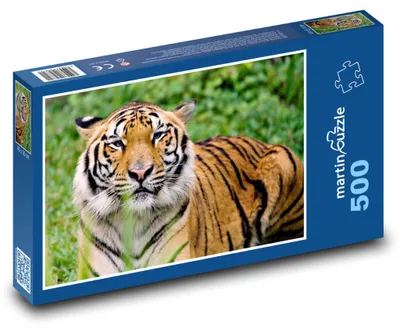 Obrázok produktu pre Puzzle 500 Majestátny tiger v džungli - martinpuzzle