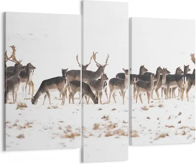 Produktbild von Bild auf Leinwand - Leinwandbild - Hirsch Winter Tierwelt Landschaft - 95x80cm - Wand Bild - Wanddeko - Leinwanddruck - Bilder - Kunstdruck - Leinwand bilder - Wandkunst - CB95x80-3144