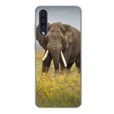 Produktbild von MuchoWow® Handyhülle Schutzhülle Hülle für Samsung Galaxy A50 Elefant - Blumen - Gras - Tiere - Natur Silikon Softcase Handy Hülle - Mobiltelefonhülle