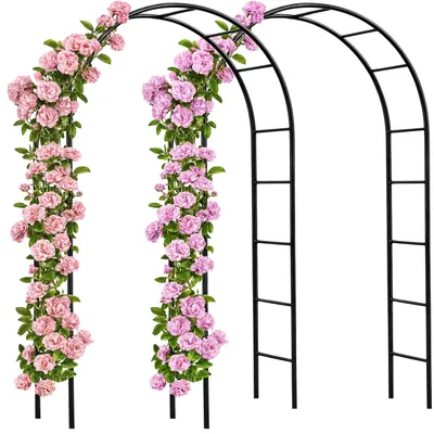 Productafbeelding van Rozenboog Set van 2 Zwart 240x140x37cm
