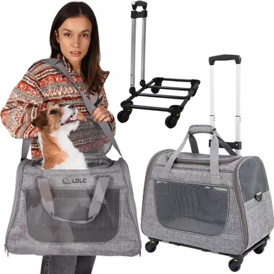 A collage showing a woman carrying a dog in a pet carrier, a separate pet carrier with wheels, and a collapsible trolley.