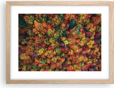 Produktbild von Gerahmtes Poster - Rahmen in heller Eiche - Herbst Perspektive Vogel - 40x30 cm - Wand Bild - Wanddeko - Wandbilder - Kunstposter - Wandposter - Bilderrahmen - Bilder - Kunstdruck - P2NAA40x30-4478