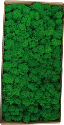 Produktbild von Konserviertes Moos Wanddekoration Echtes konserviertes Moos Keine Wartung erforderlich Natuerlich konserviertes Moos fuer Home Wall Party Festivals Crafts Xmas Indoor Office Dekoration
