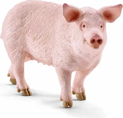 Produktbild von SCHLEICH Schwein 0 0 0